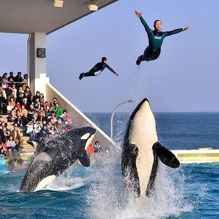 Kamogawa Sea World Hotel Dış mekan fotoğraf