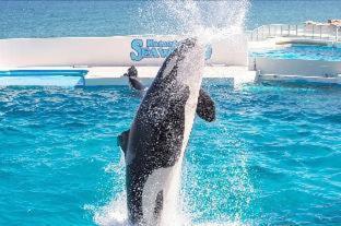 Kamogawa Sea World Hotel Oda fotoğraf