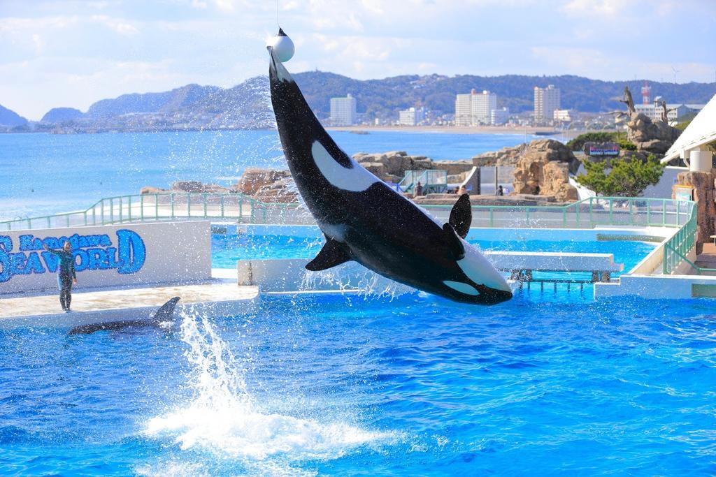 Kamogawa Sea World Hotel Dış mekan fotoğraf