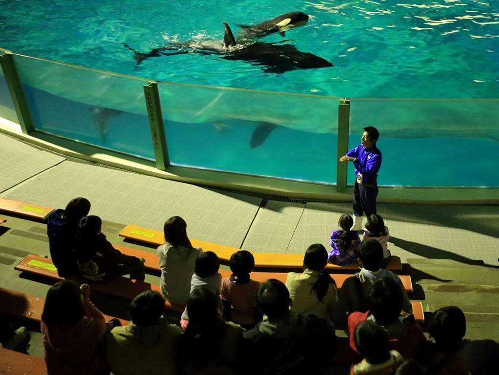 Kamogawa Sea World Hotel Konforlar fotoğraf