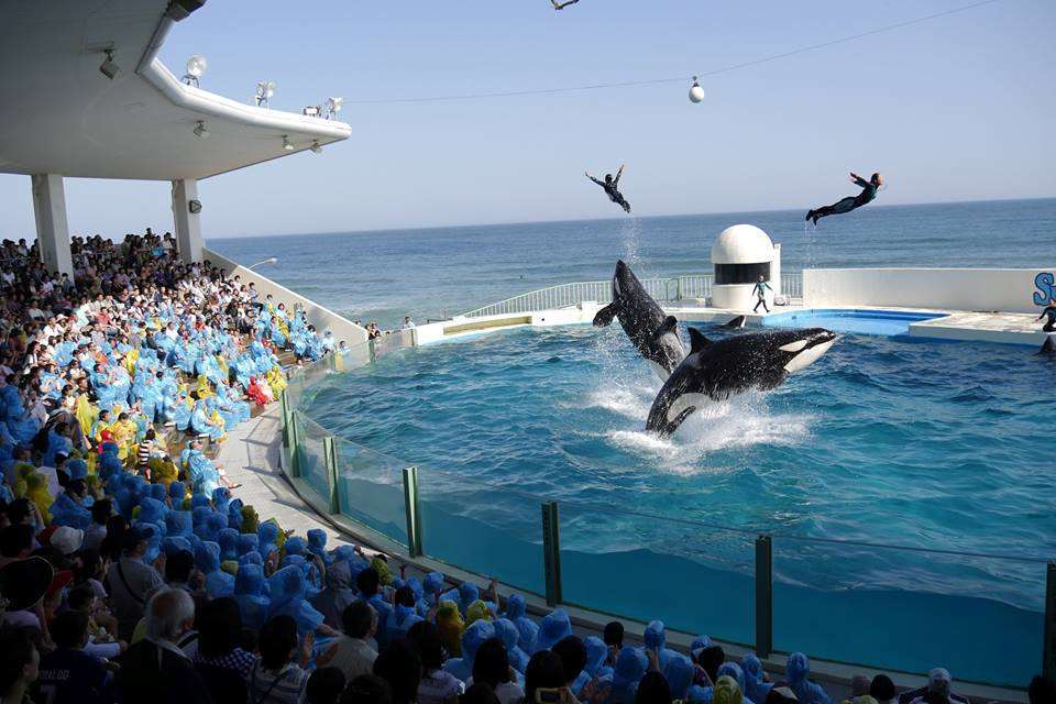 Kamogawa Sea World Hotel Konforlar fotoğraf